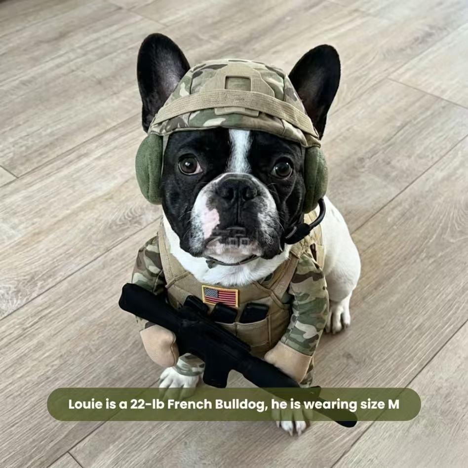 Puppy Soldier Hat And Clothing Set