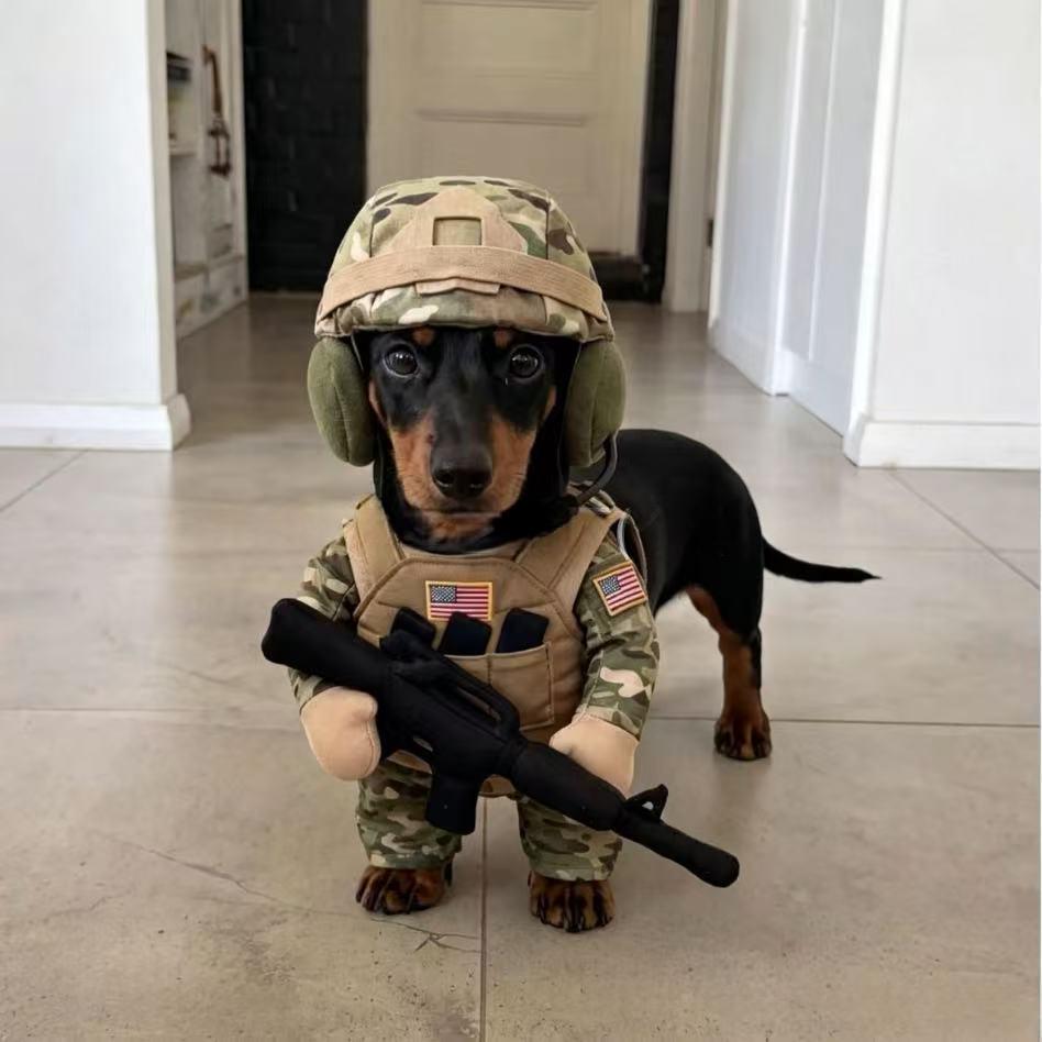 Puppy Soldier Hat And Clothing Set