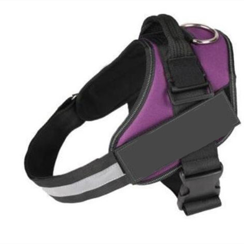 Customized no-pull dog harness on a golden retriever in a park