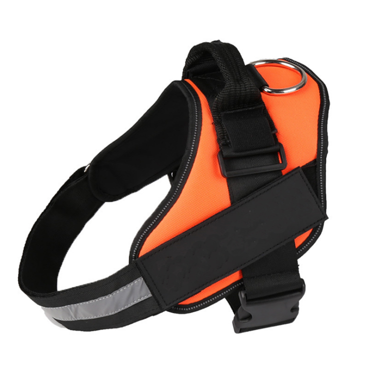 A happy dog walking comfortably alongside its owner in a park while wearing the adjustable anti-pull harness.
