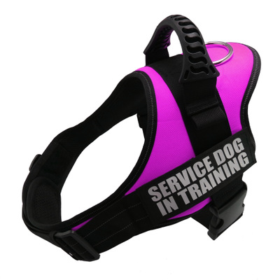 Personalized anti-pull harness with custom name patch