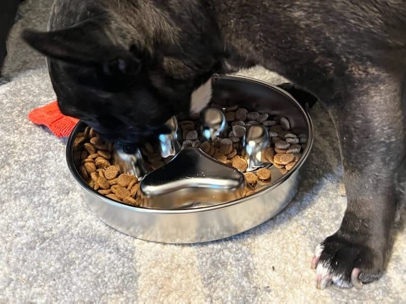 Bowl being cleaned in a dishwasher