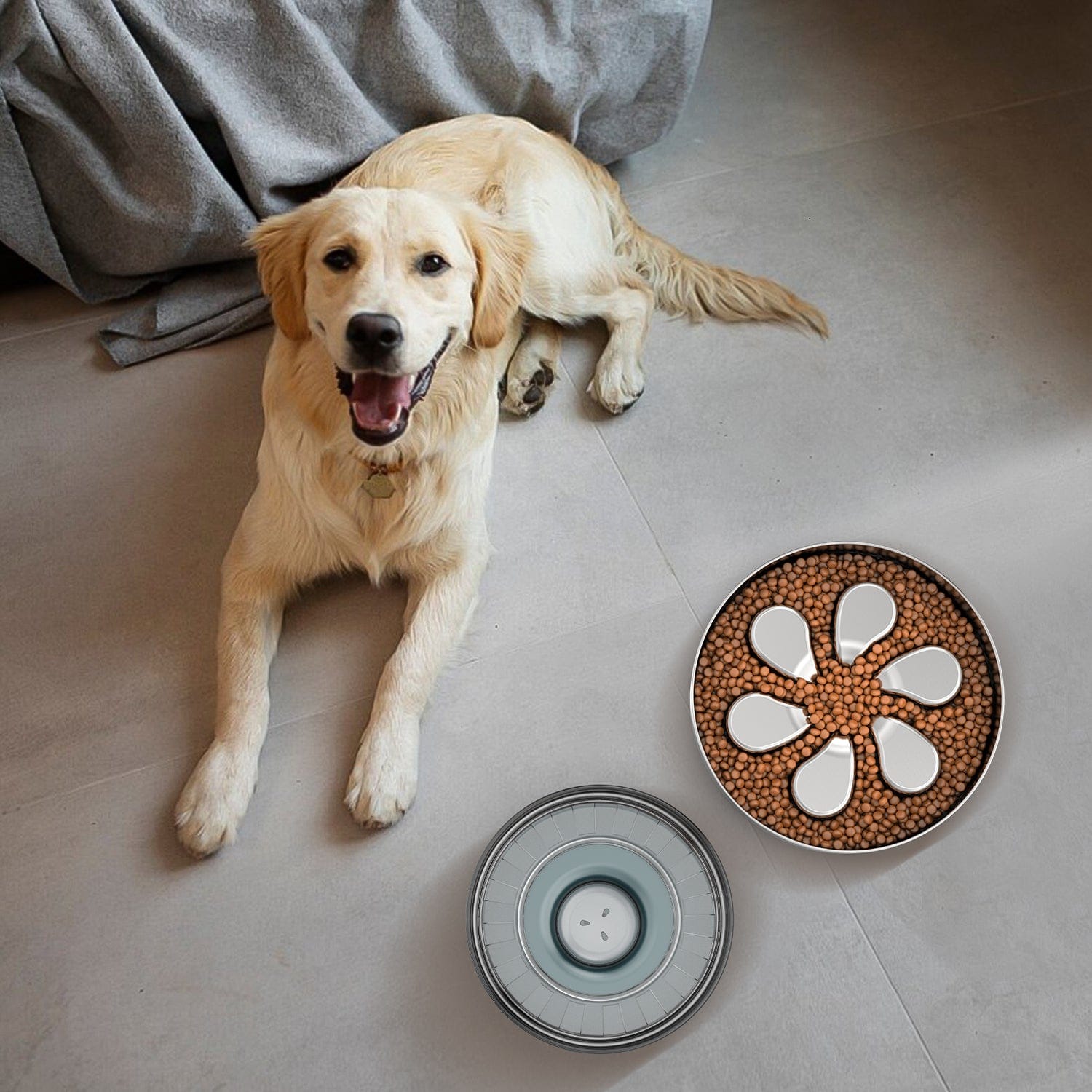 MeloPet Stainless Steel Slow-Feed Pet Bowl in use