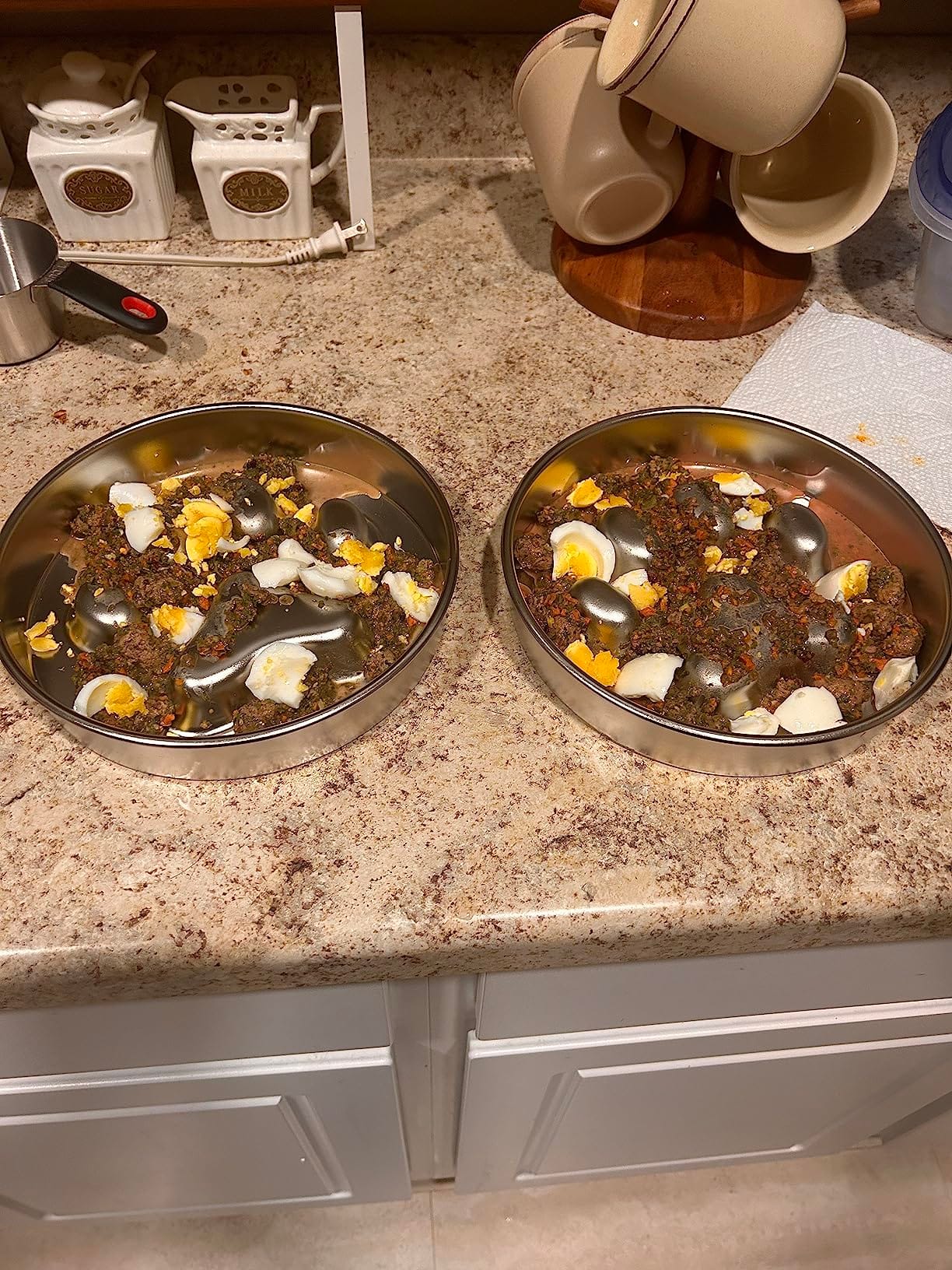 MeloPet bowl on a kitchen floor with a dog nearby