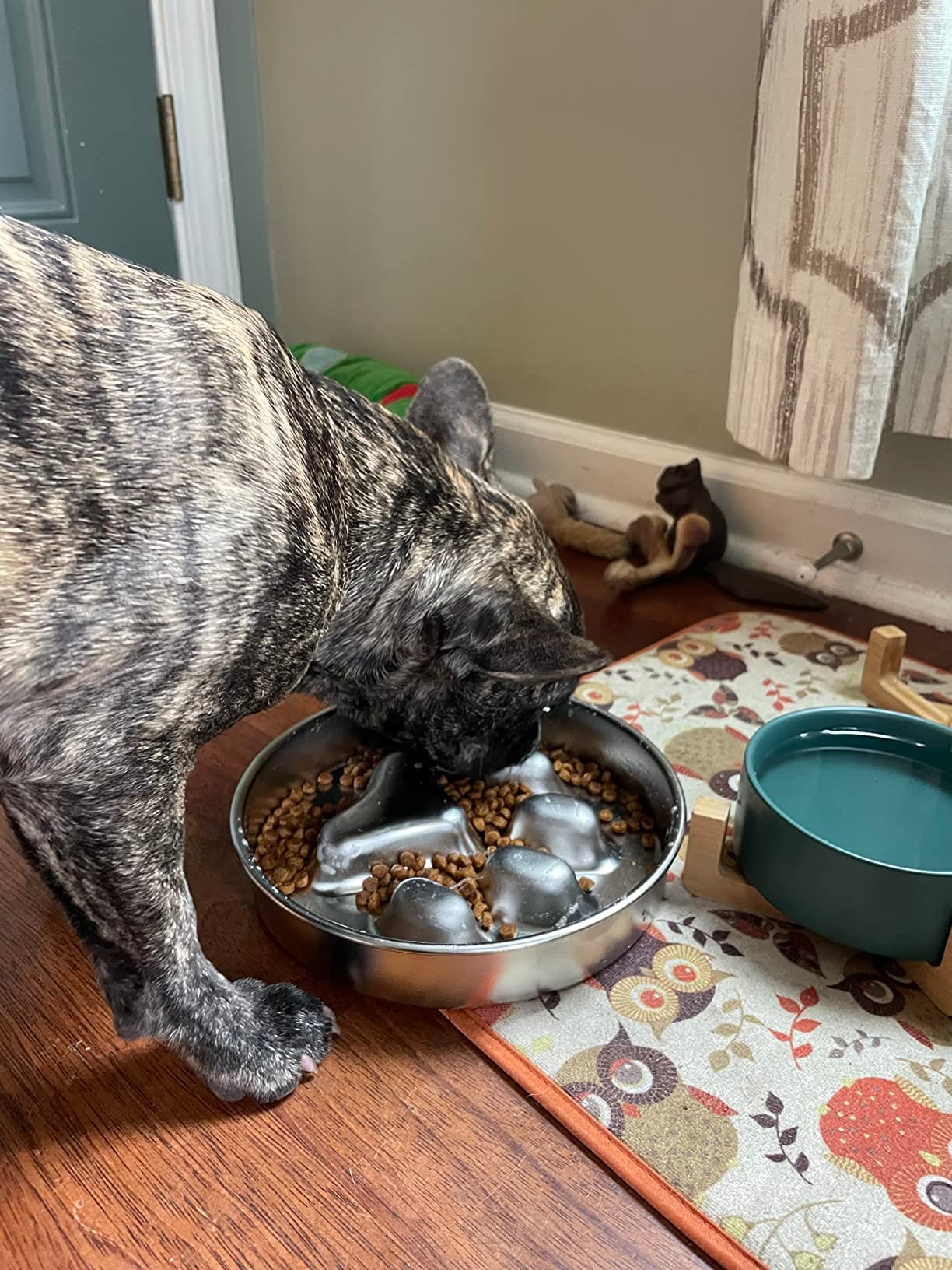 A happy dog eating from the MeloPet Stainless Steel Slow-Feed Pet Bowl