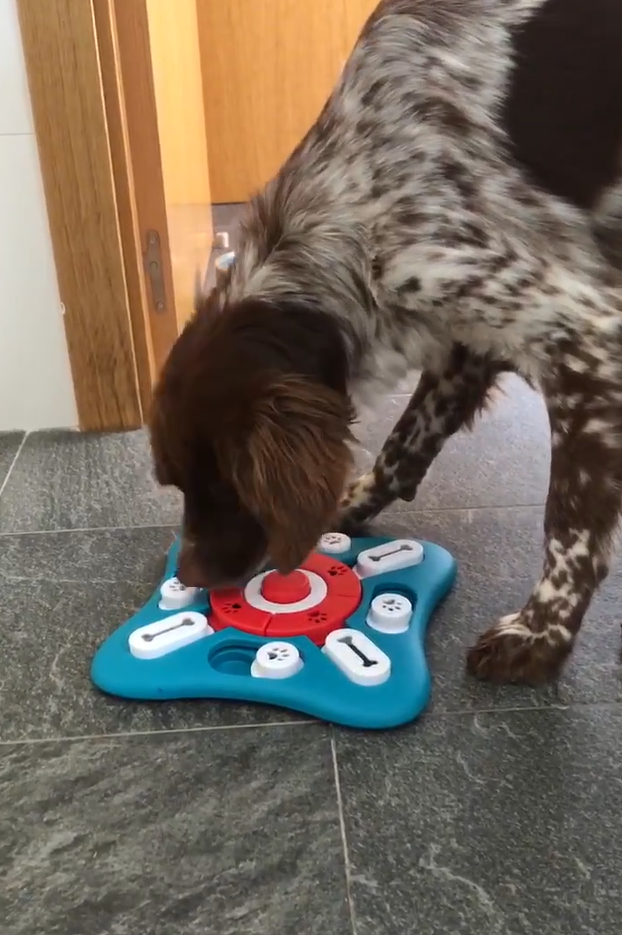 Adjusting toy difficulty