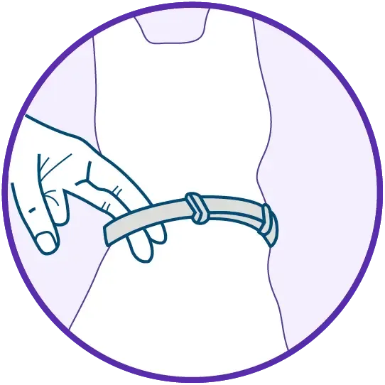 Immagine del cane felice e sano