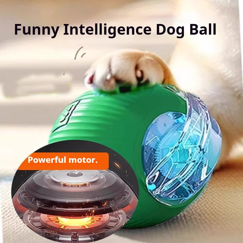 Close-up of the interactive toy ball showing its durable, pet-safe material.