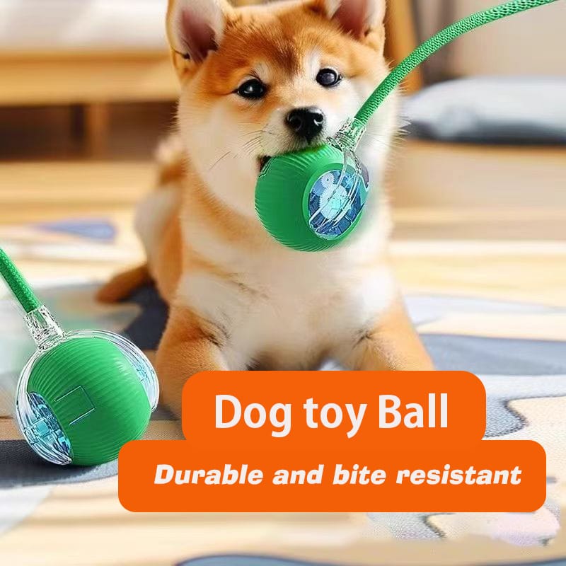 A pet owner smiling as their dog plays with the interactive toy ball.