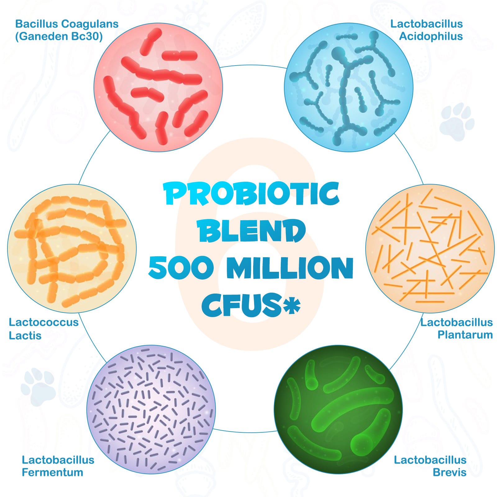 Close-up of a dog's healthy joint