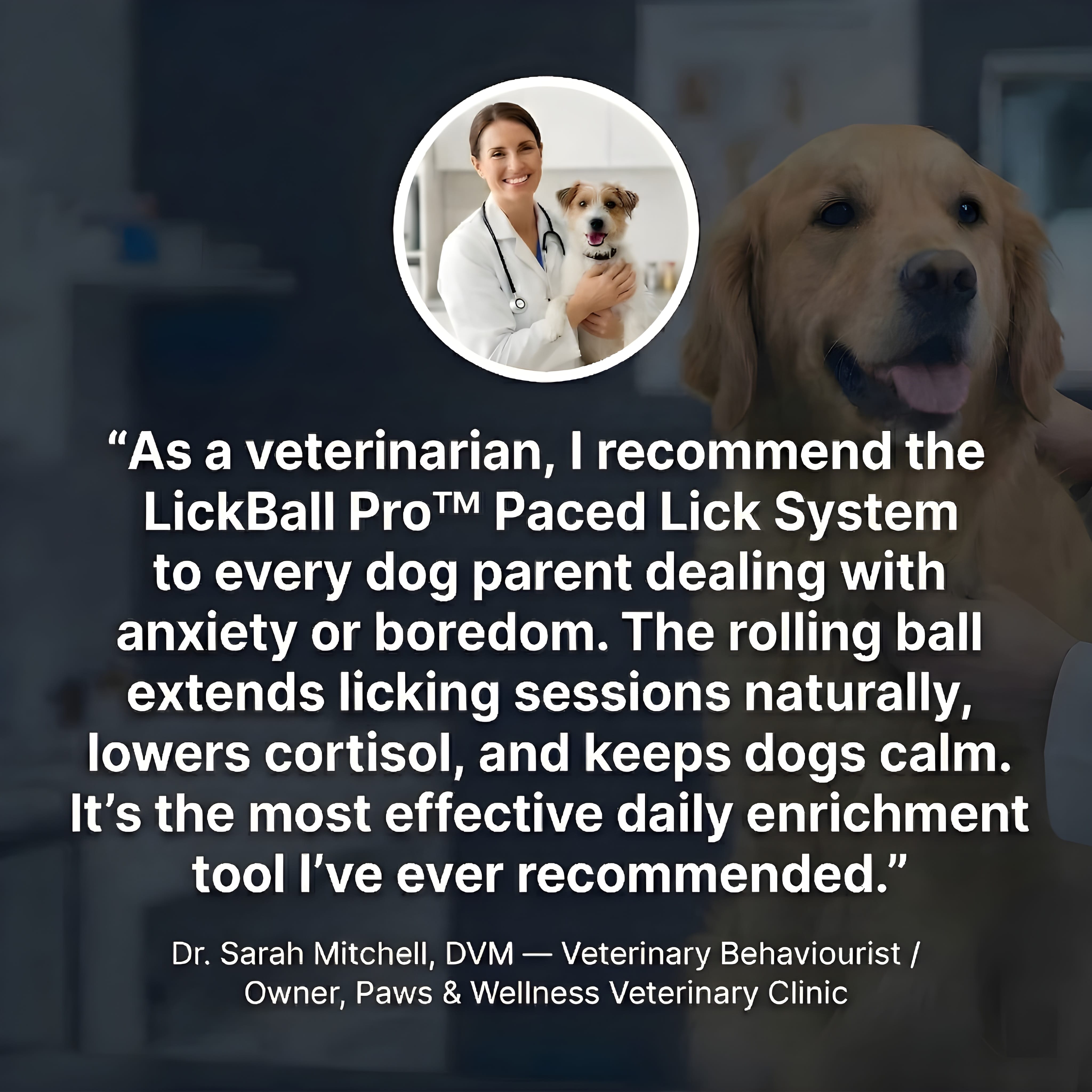 LickCalm Paced Lick System for pets