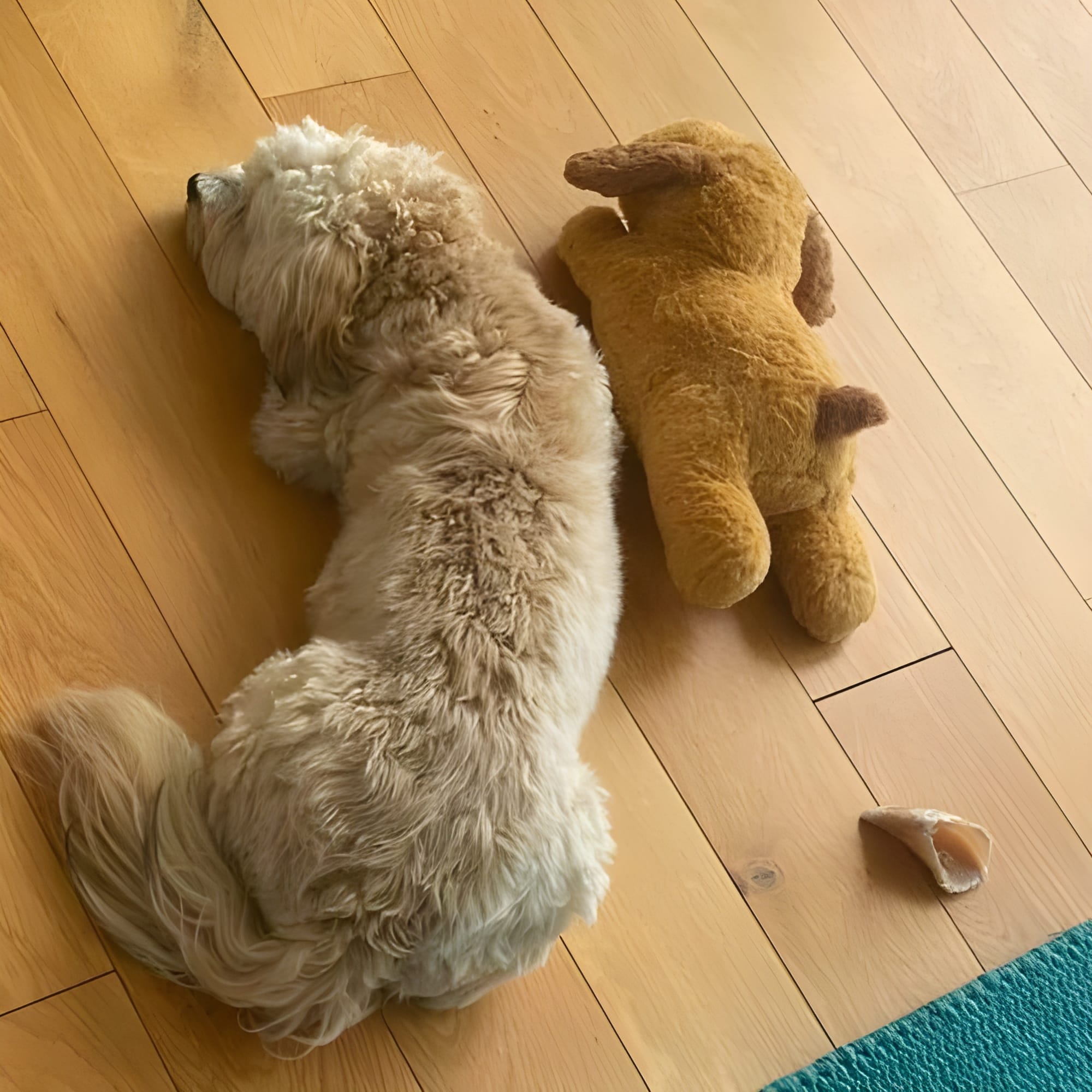 Puppy sleeping peacefully with heartbeat simulation device