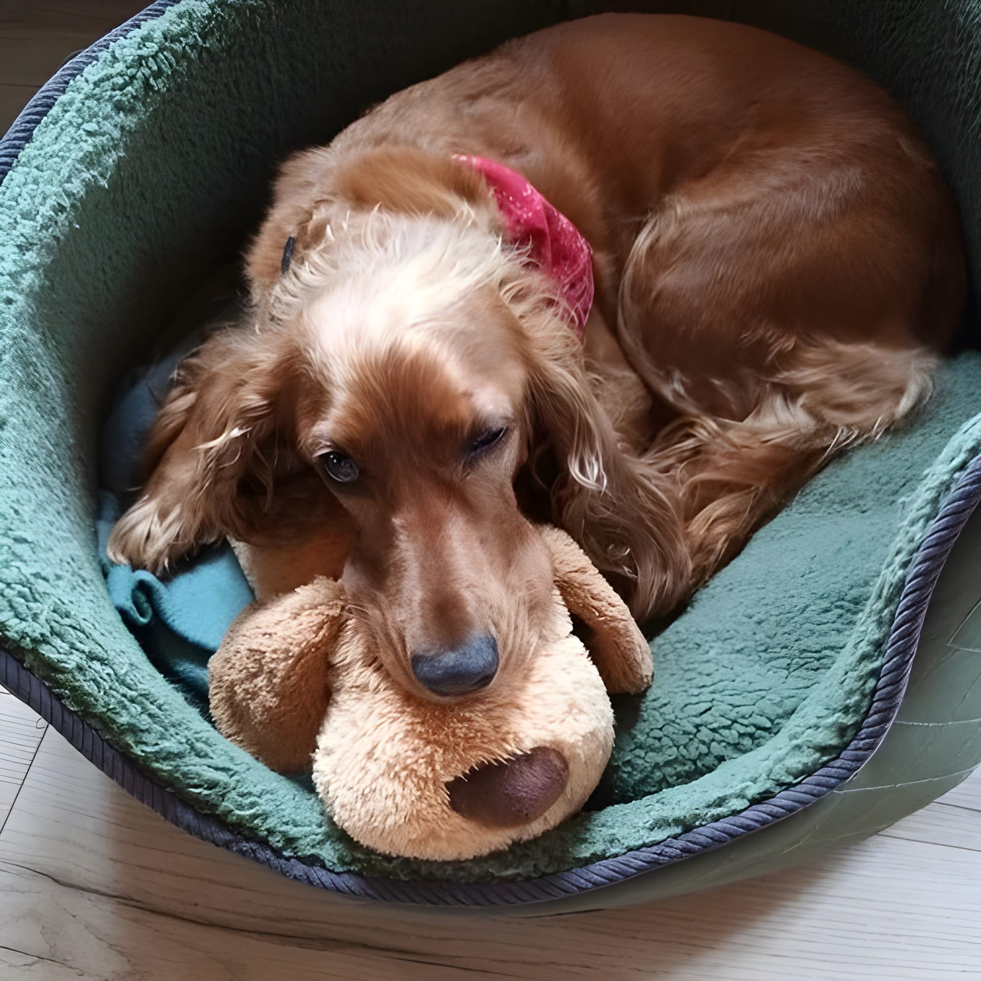Battery-powered calming device in use