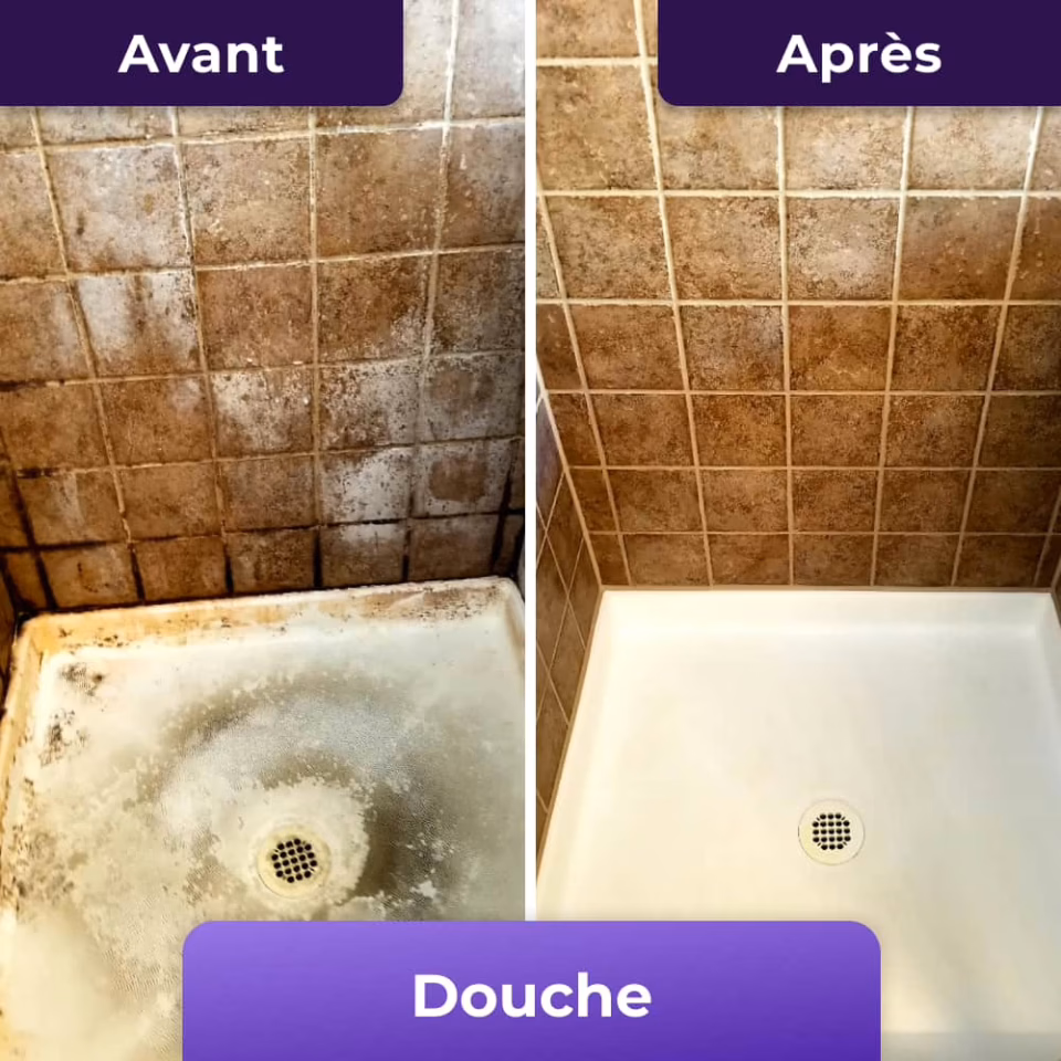 Une maison saine et sans moisissure
