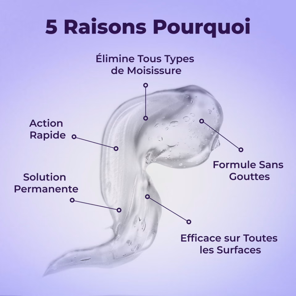 NuroClean Gel agissant sur une zone moisie