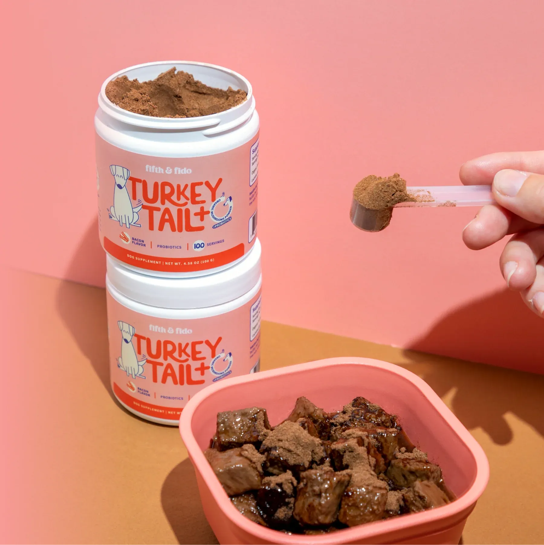 Chien heureux et en bonne santé