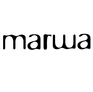 logo test 3.png