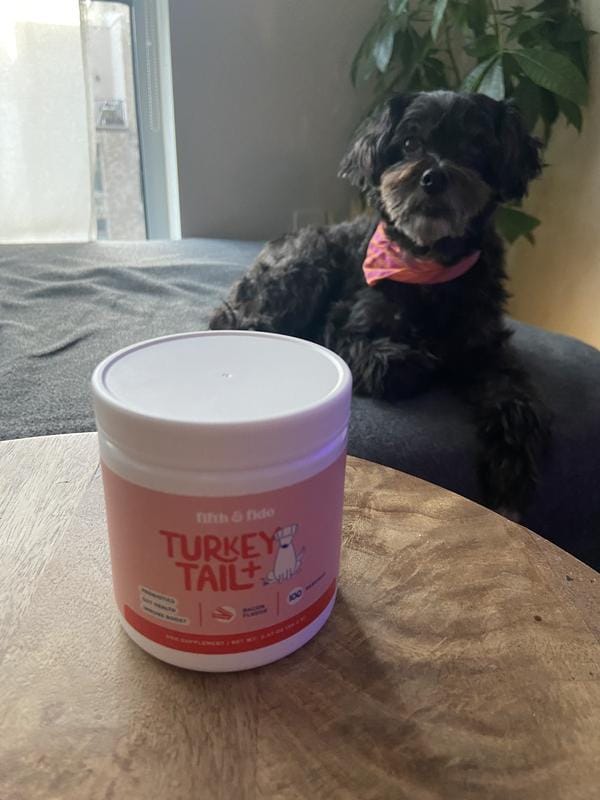 Photo d'un chien avec des kystes qui ont régressé grâce à Turkey Tail+.