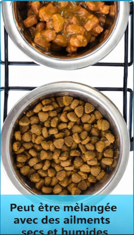 Image représentant le suivi des progrès de l'animal