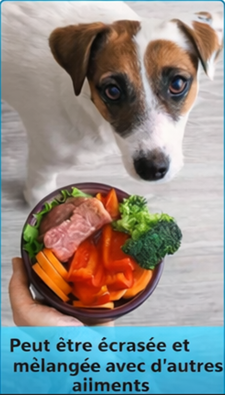 Image représentant l'animal consommant le produit