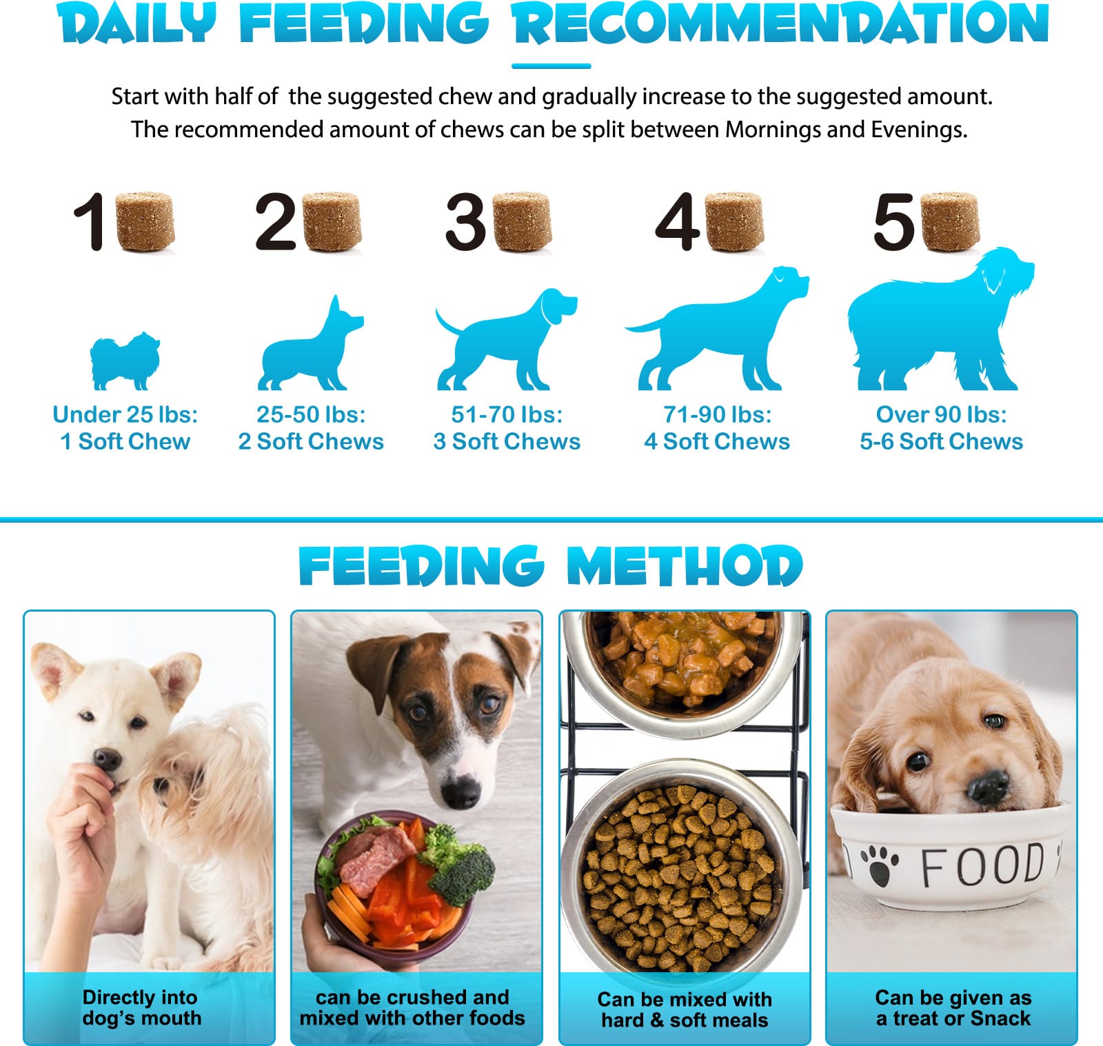 Image d'un chien jouant