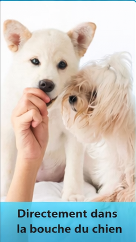 Image représentant l'administration de la première étape