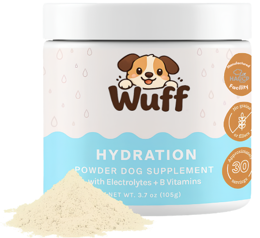 A happy, energetic dog enjoying a drink of water