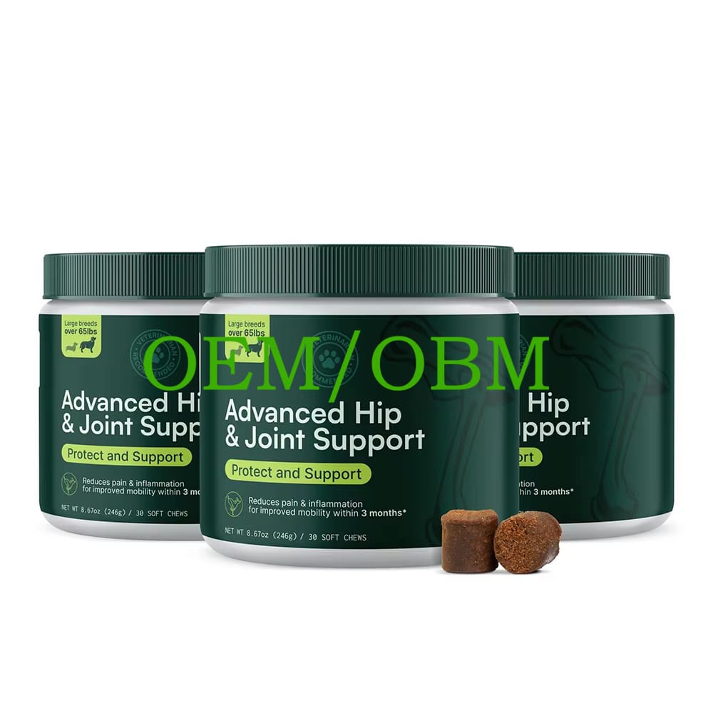 Cane e gatto felici che giocano insieme