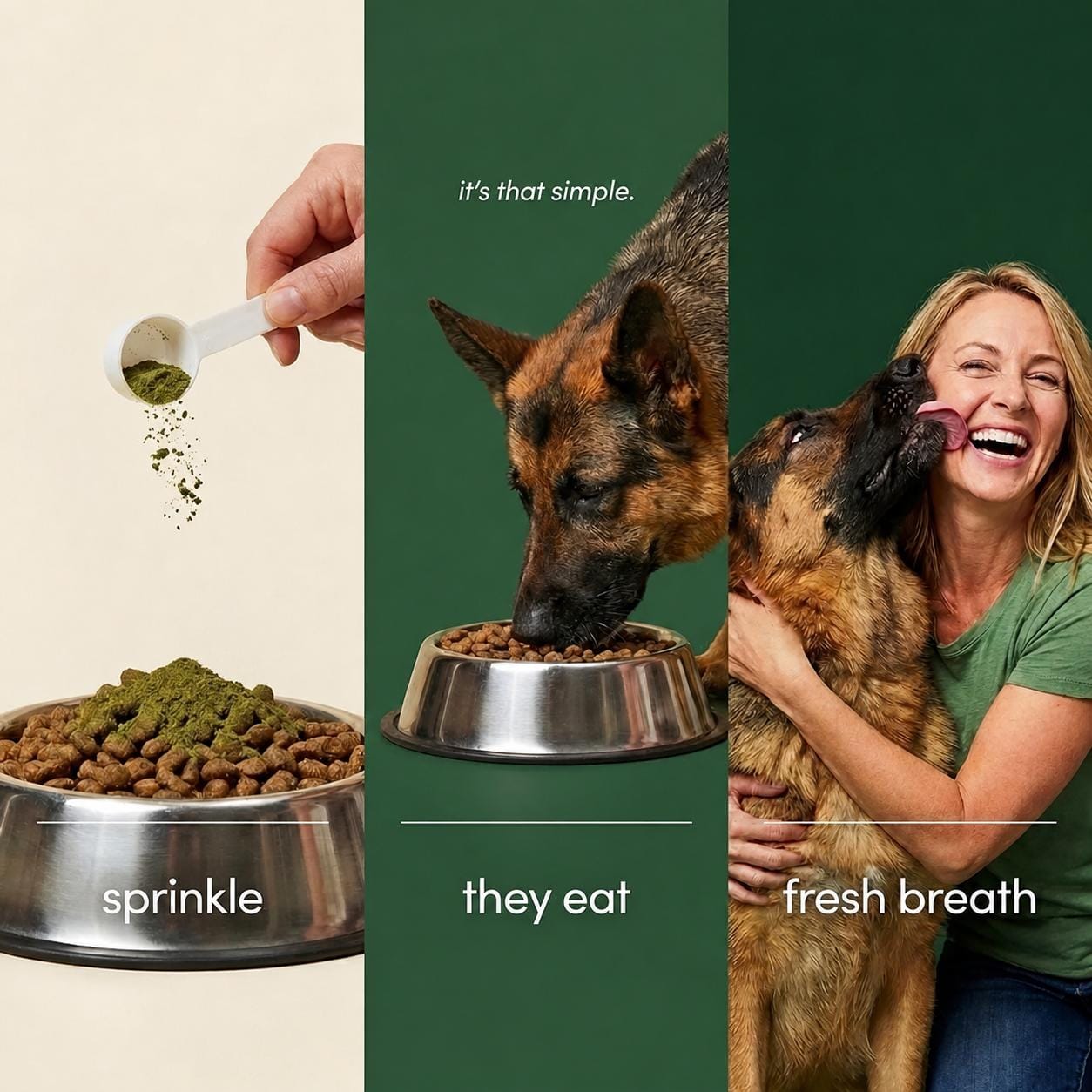 Veterinarian Recommended Seal