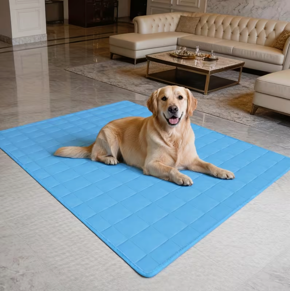 A dog relaxing on a self-cooling mat