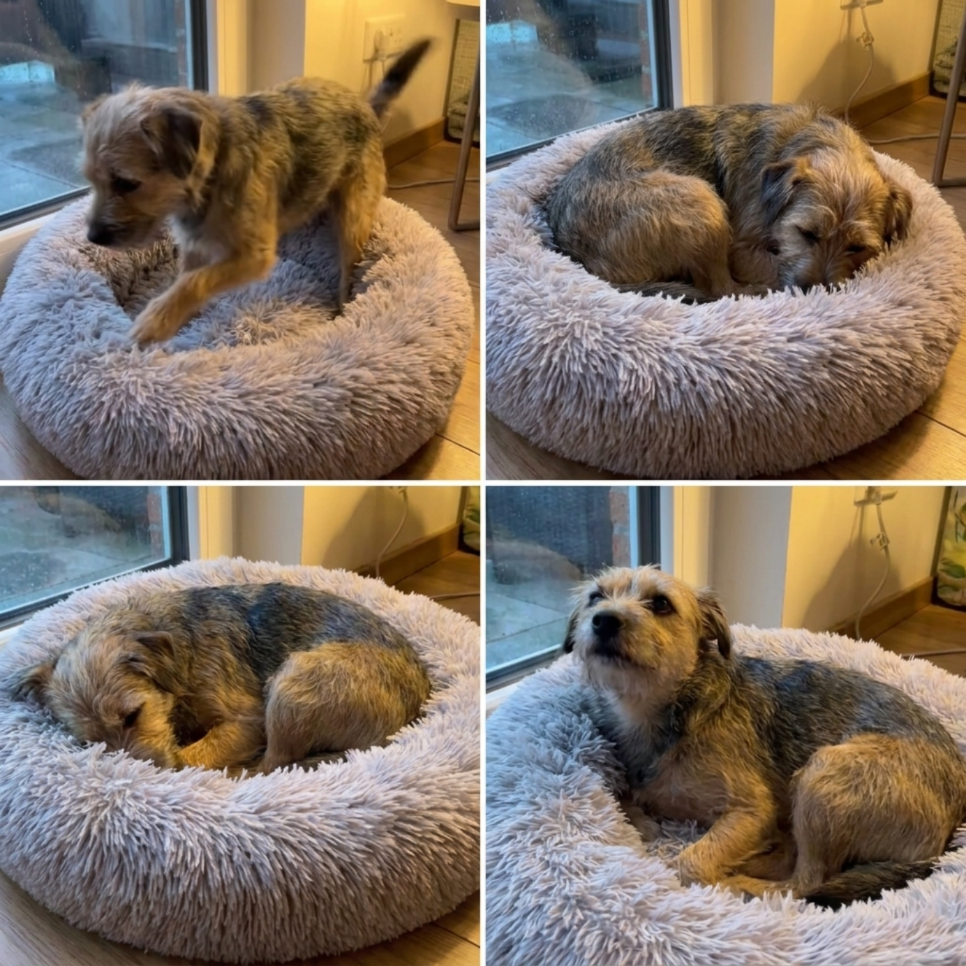 A cozy, plush circular pet bed designed for anxiety relief and deep sleep.