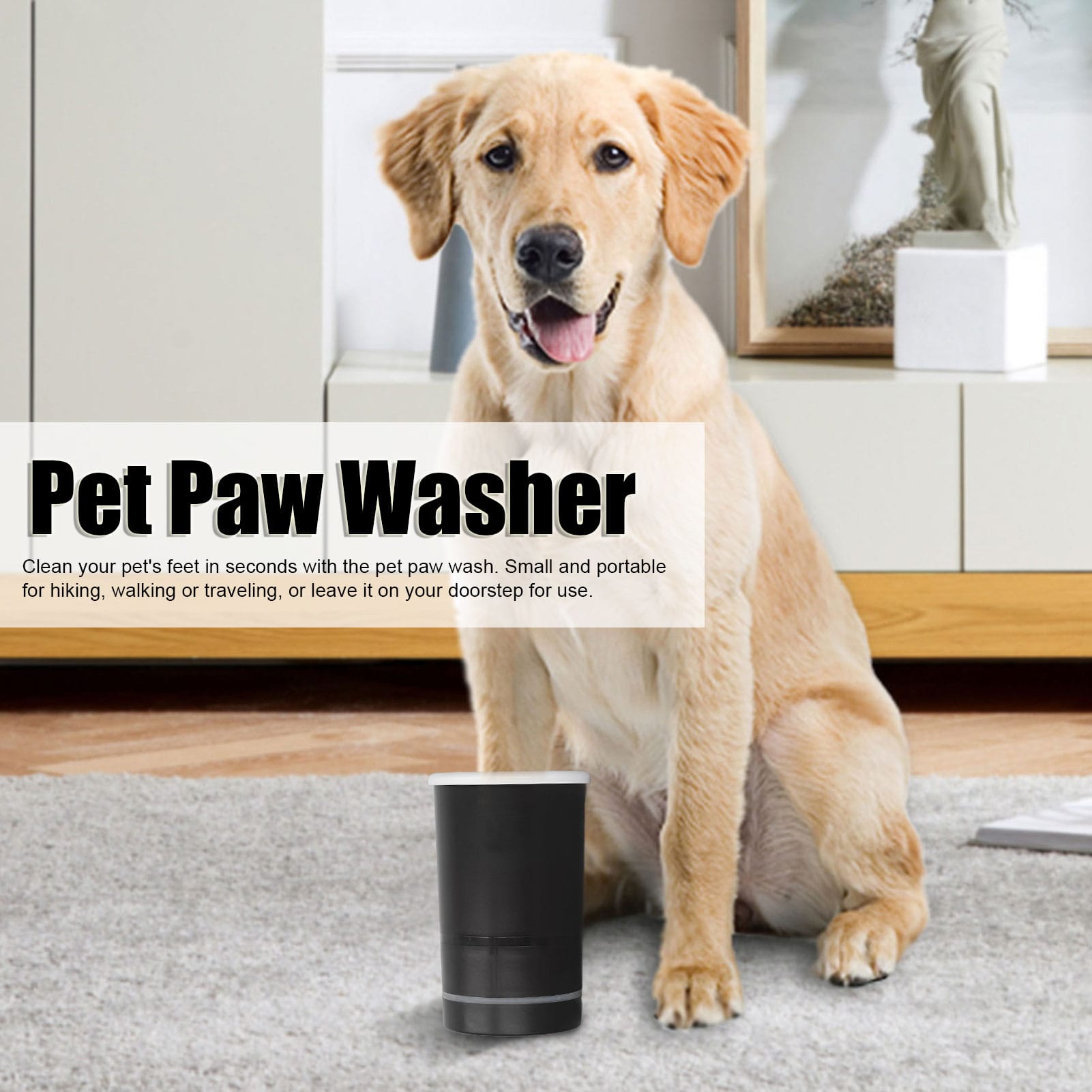 High-quality image of the [Product] showcasing its design and features