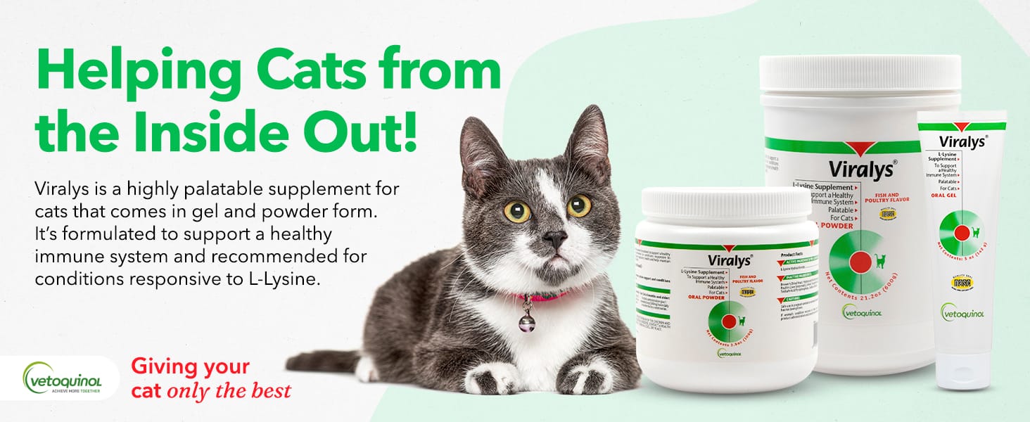 Vetoquinol Viralys feline L-Lysine immune support powder for cats