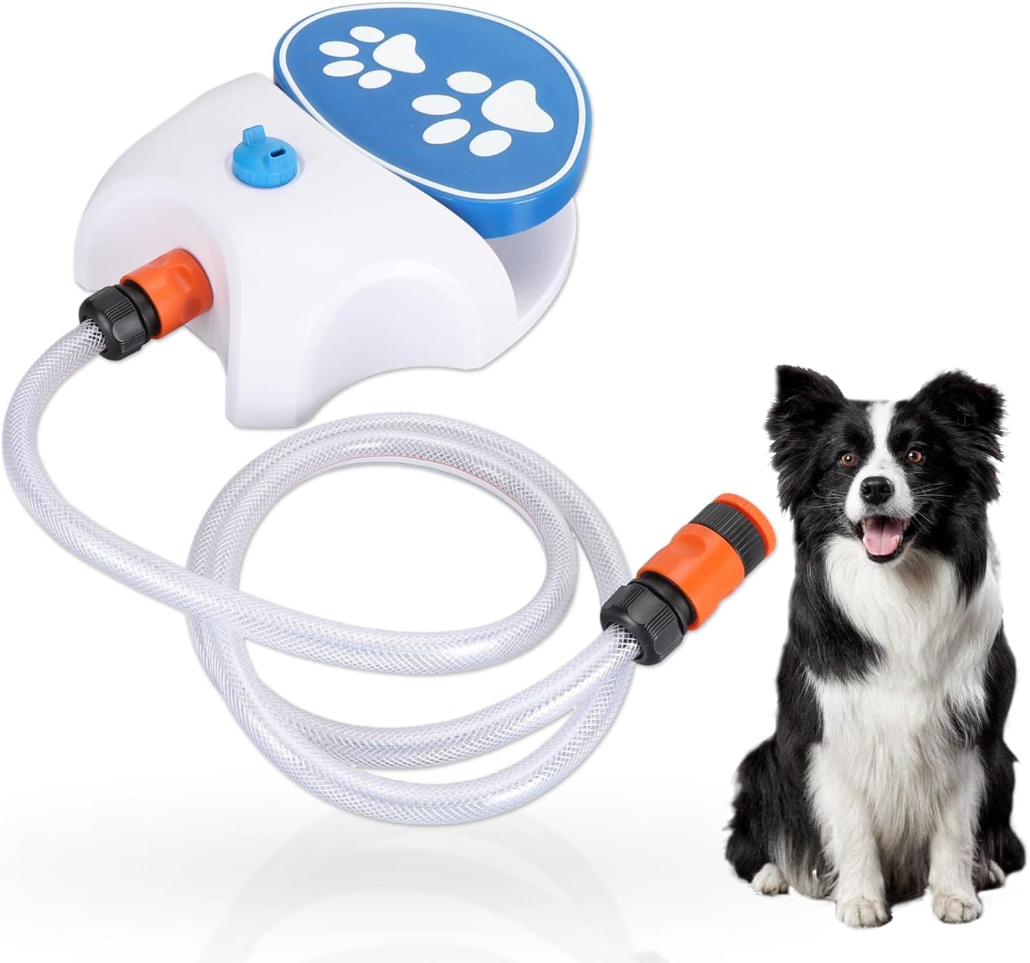 Hund spielt fröhlich mit dem Wasser-Sprinkler im Garten