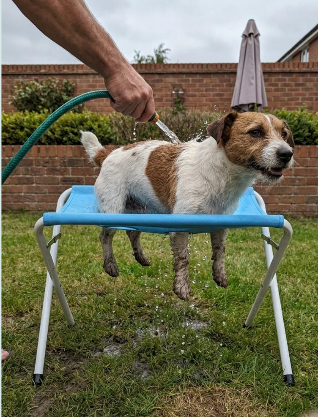 Cliente feliz usando kit de aseo para perros