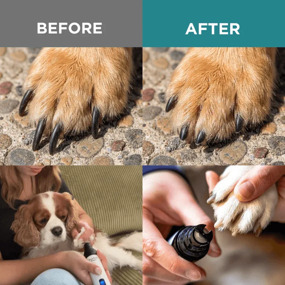 Two speed nail trimmer demonstrating precision grooming control