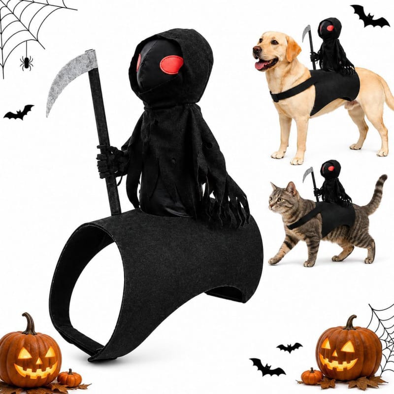 Pet wearing a comfortable and lightweight costume