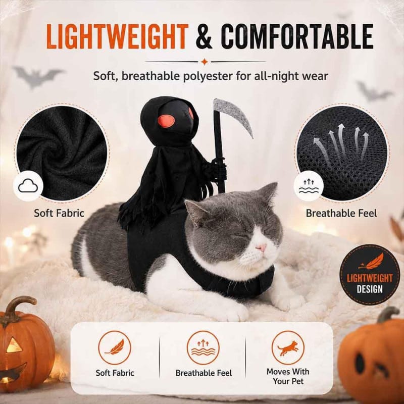 Small dog wearing a detailed Grim Reaper cloak costume