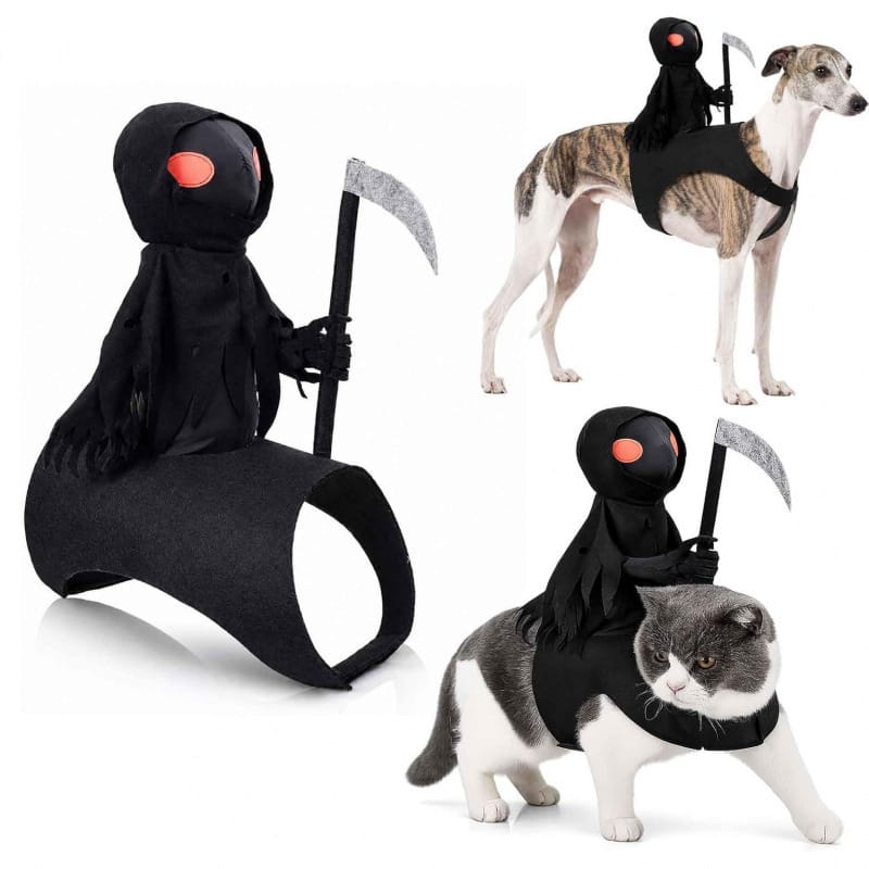 Pet wearing grim reaper costume with dark aesthetic