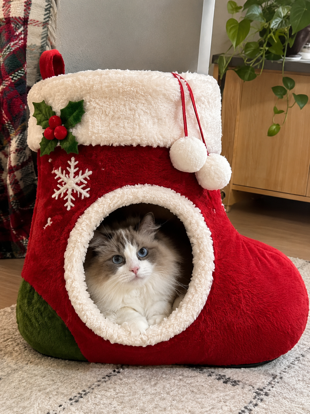 Cute kitten relaxing in a stocking bed
