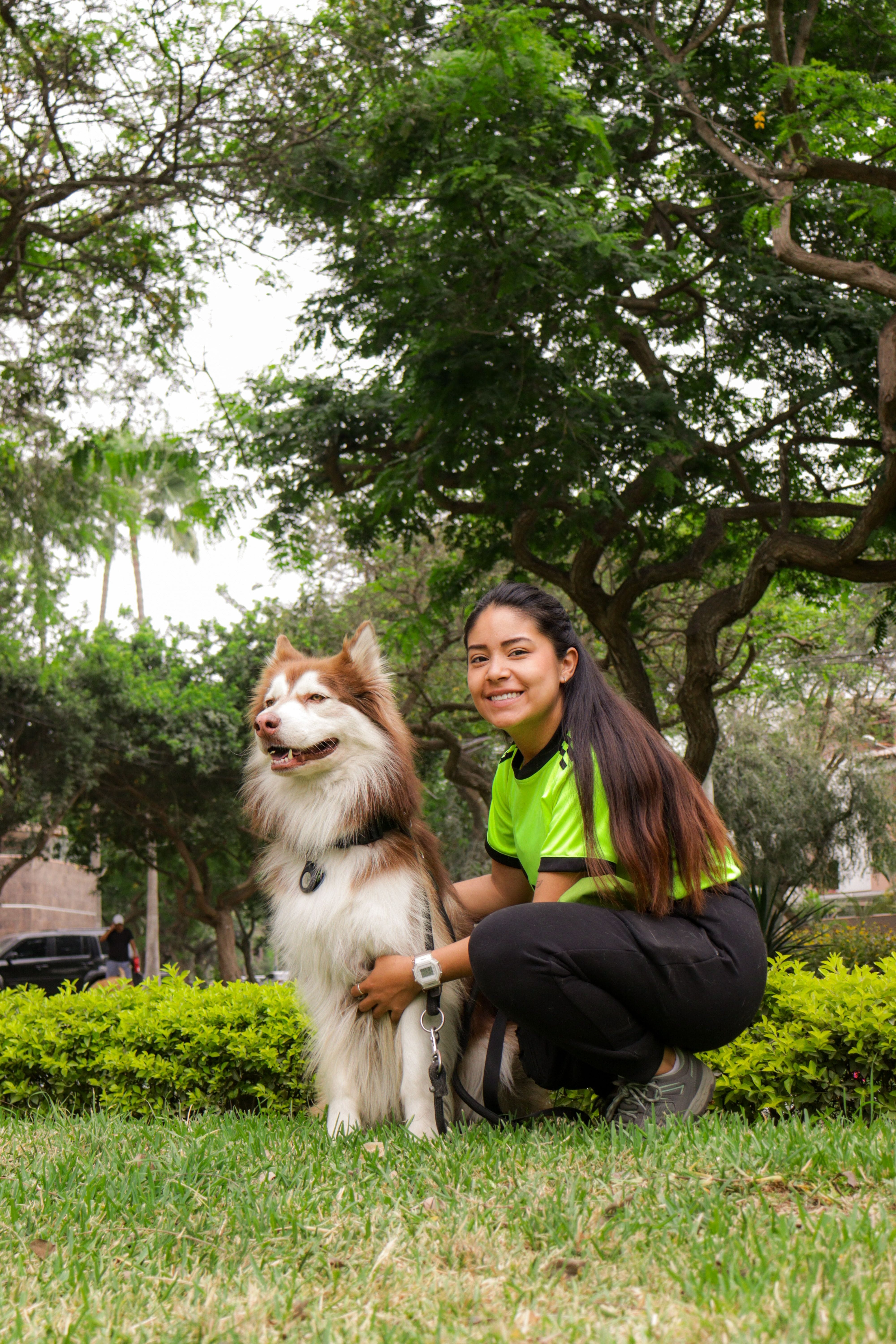 Dog digestive health supplement chews