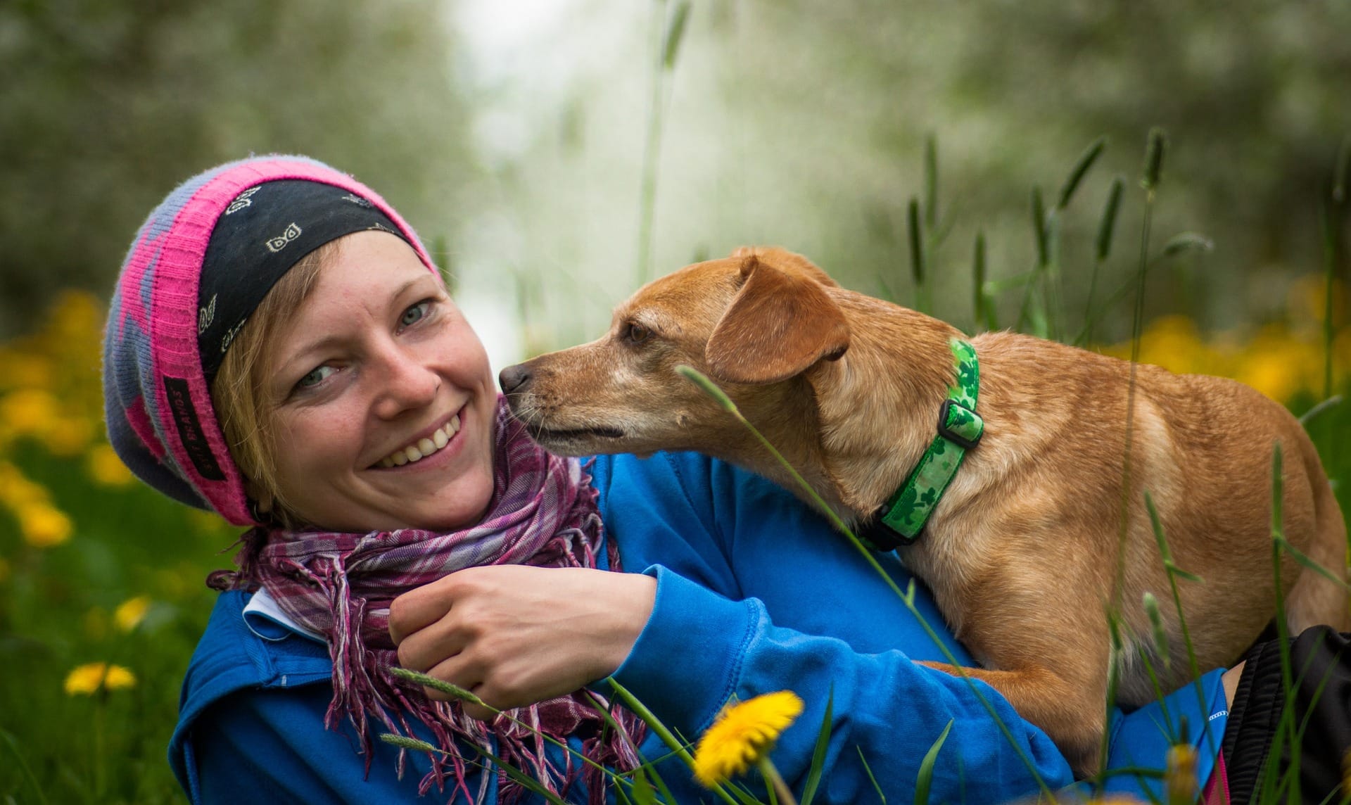 Dog immune support chews container