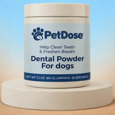 Close up of dog teeth after using our calming dental chews