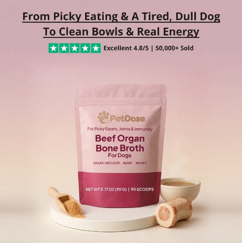 A happy dog chewing on a healthy dental treat