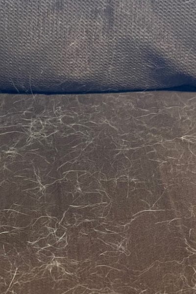 Fabric surface covered in stubborn pet hair before cleaning