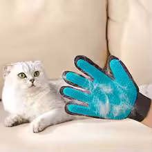 Pet hair tool removing fur from car seat