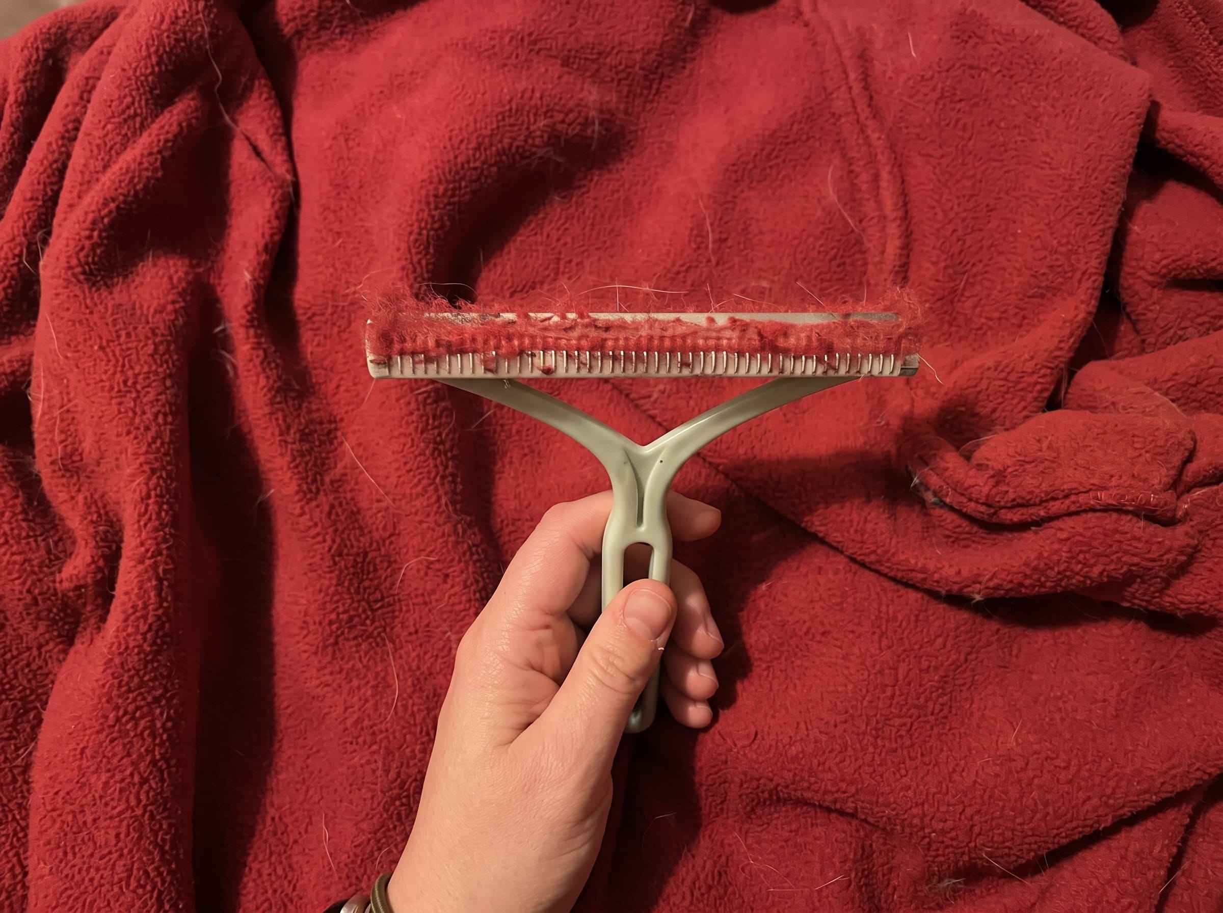 Clean carpet after using pet hair remover