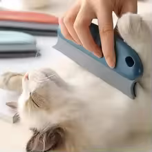 Happy pet owner holding the hair remover