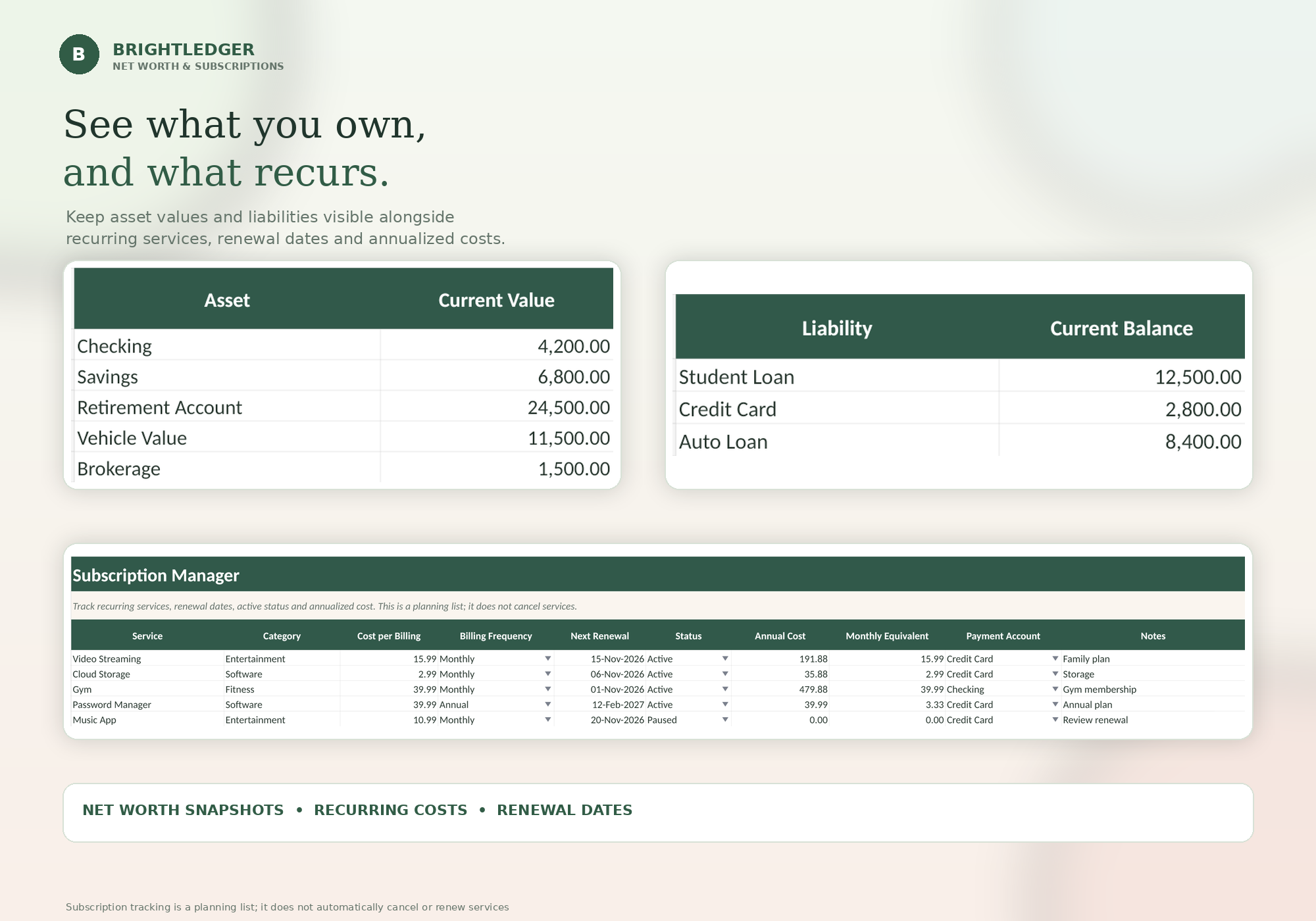 BrightLedger Excel workbook displaying budget and debt overview